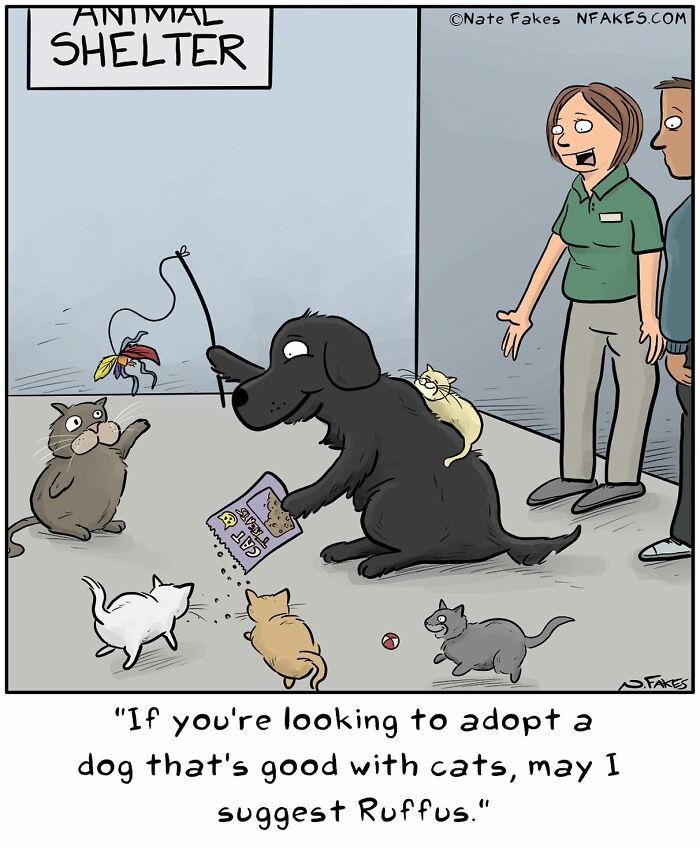 These Funny Cat Comics By Nate Fakes Prove Our Feline Friends Are Secretly Living Their Own Weird Lives (31 Pics)