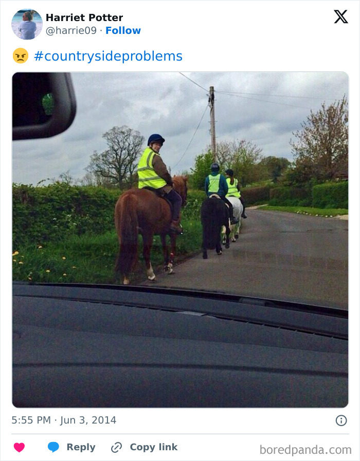 A line of horse riders on a country road, viewed from a car. City kids might not understand this common farm scene.
