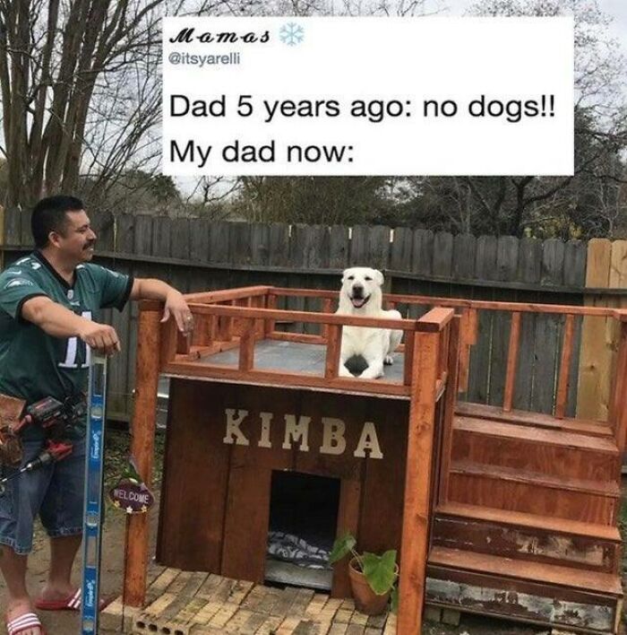 Man smiling next to a custom wooden dog house with a happy dog on top, showcasing funny and mischievous dogs.