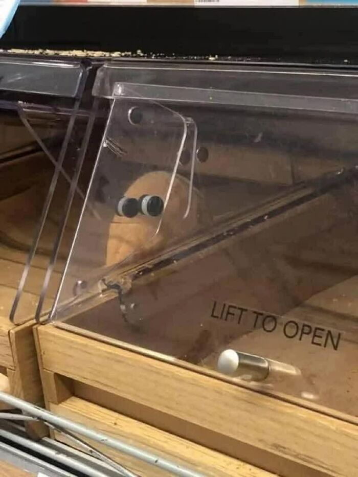 Confusing-Images-Make-You-Wonder