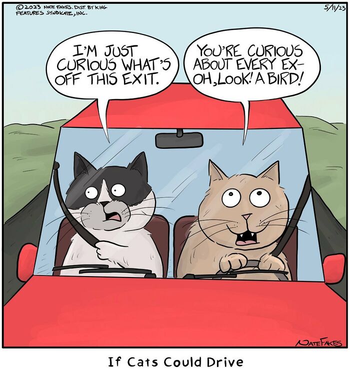 These Funny Cat Comics By Nate Fakes Prove Our Feline Friends Are Secretly Living Their Own Weird Lives (31 Pics)