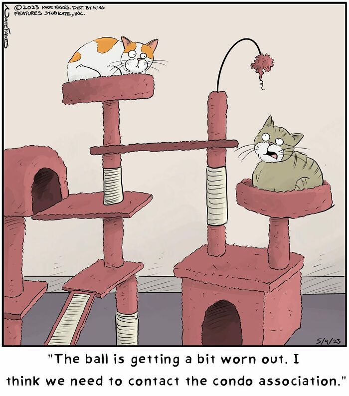 These Funny Cat Comics By Nate Fakes Prove Our Feline Friends Are Secretly Living Their Own Weird Lives (31 Pics)
