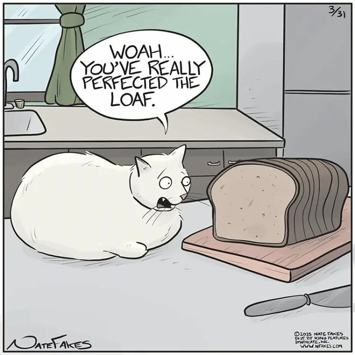These Funny Cat Comics By Nate Fakes Prove Our Feline Friends Are Secretly Living Their Own Weird Lives (31 Pics)