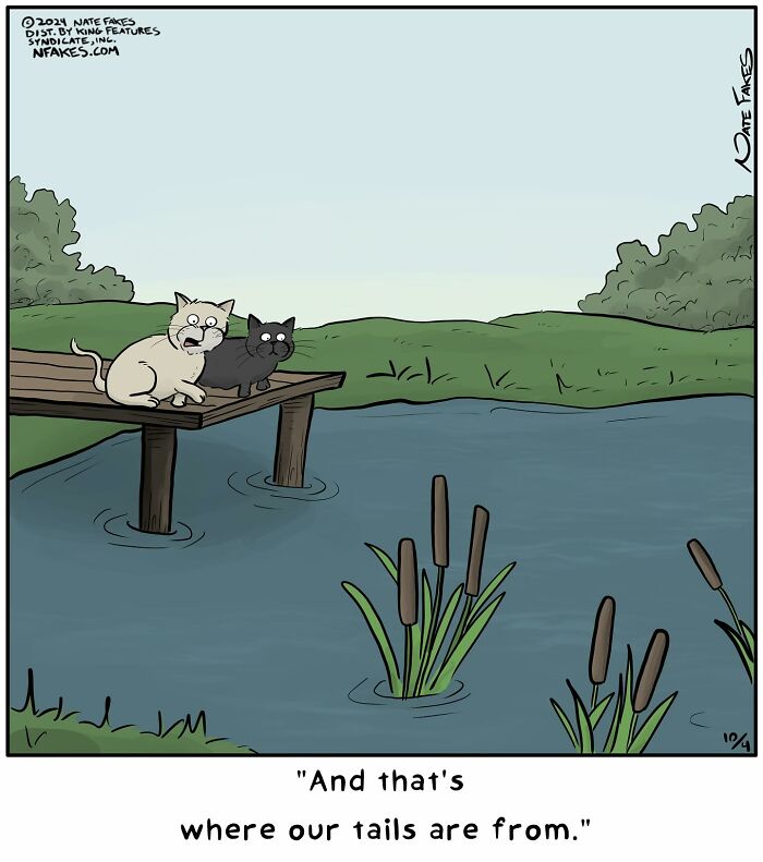These Funny Cat Comics By Nate Fakes Prove Our Feline Friends Are Secretly Living Their Own Weird Lives (31 Pics)