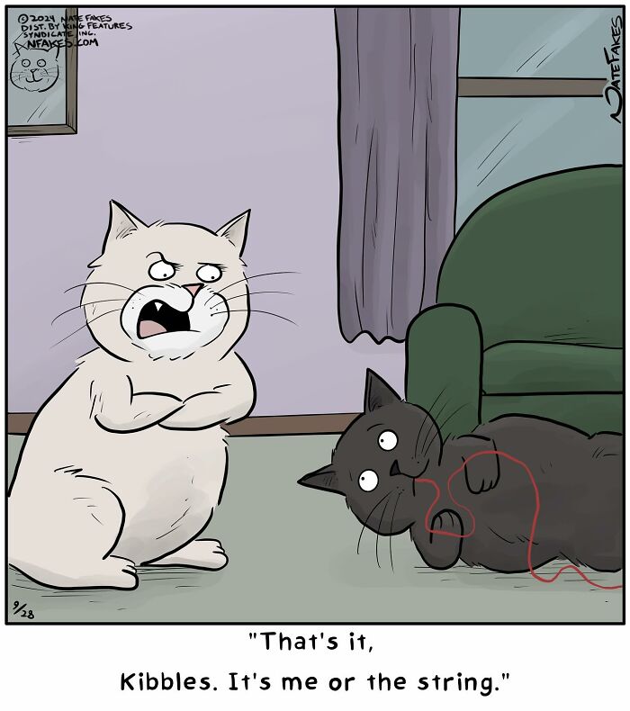 These Funny Cat Comics By Nate Fakes Prove Our Feline Friends Are Secretly Living Their Own Weird Lives (31 Pics)