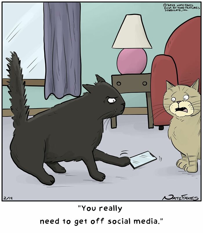These Funny Cat Comics By Nate Fakes Prove Our Feline Friends Are Secretly Living Their Own Weird Lives (31 Pics)