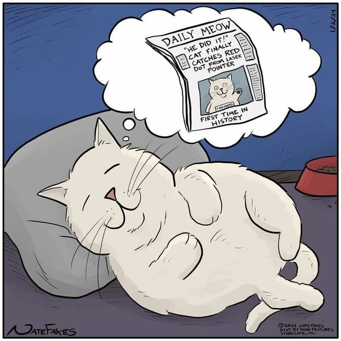 These Funny Cat Comics By Nate Fakes Prove Our Feline Friends Are Secretly Living Their Own Weird Lives (31 Pics)