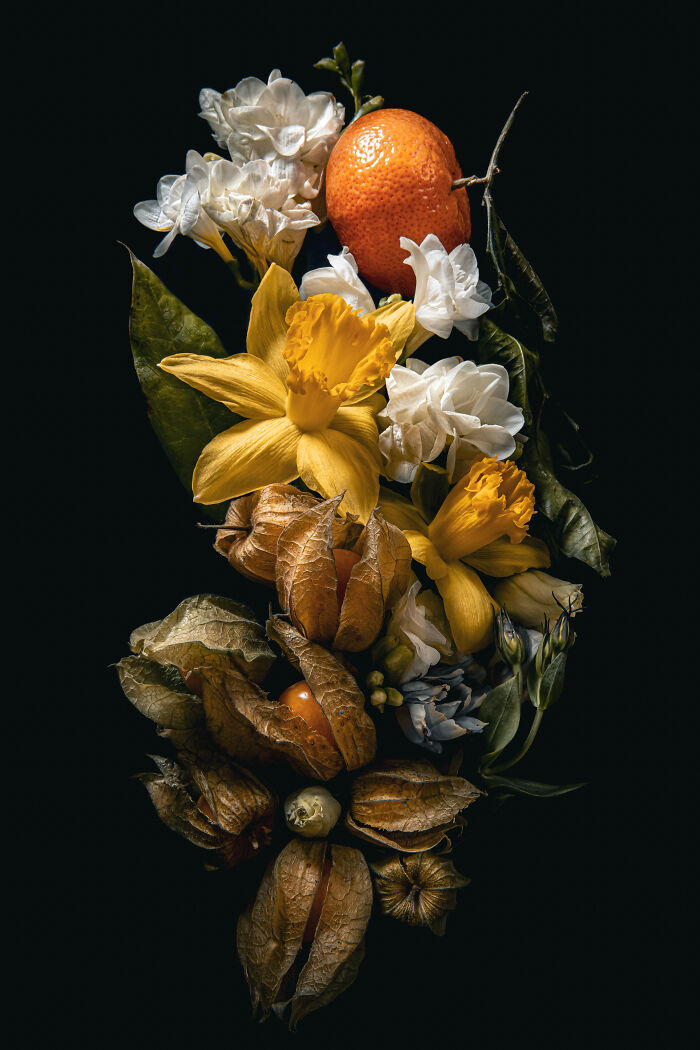 Cream Of The Crop: Posy Of Goldenberries, Mandarin And Daffodils By Ania Matczuk