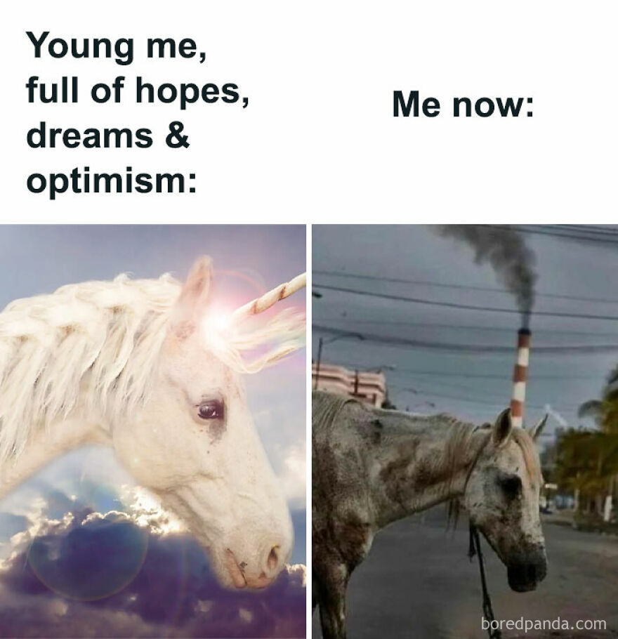 Funny and relatable memes: a glowing unicorn (young me) versus a tired, gray horse (me now).