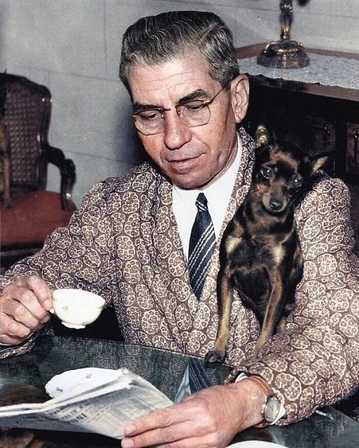 This Instagram Page Is Bringing Forgotten Dogs From History Back To Life In The Most Heartwarming Way(45 Pics)