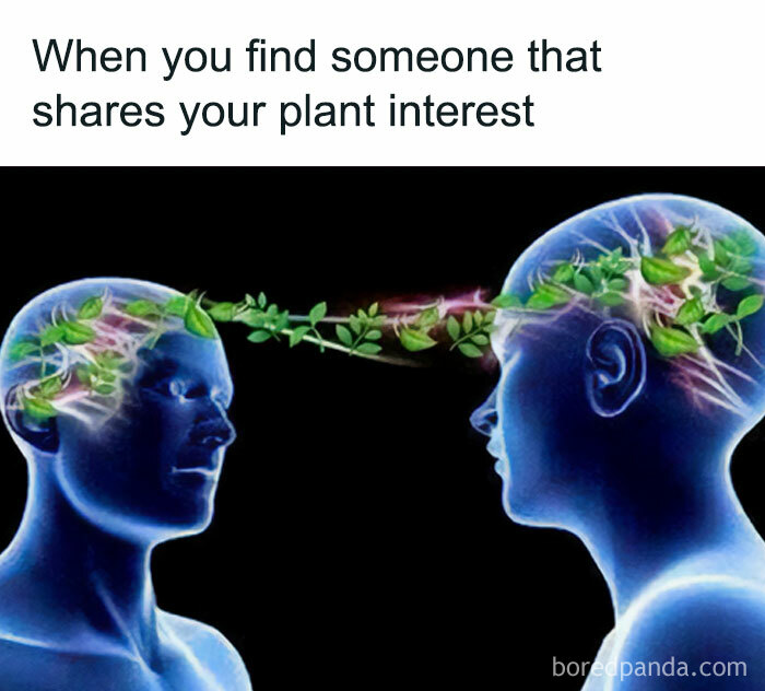 Two blue silhouettes exchange plant-like thoughts, illustrating shared crazy plant parent interests in a meme.