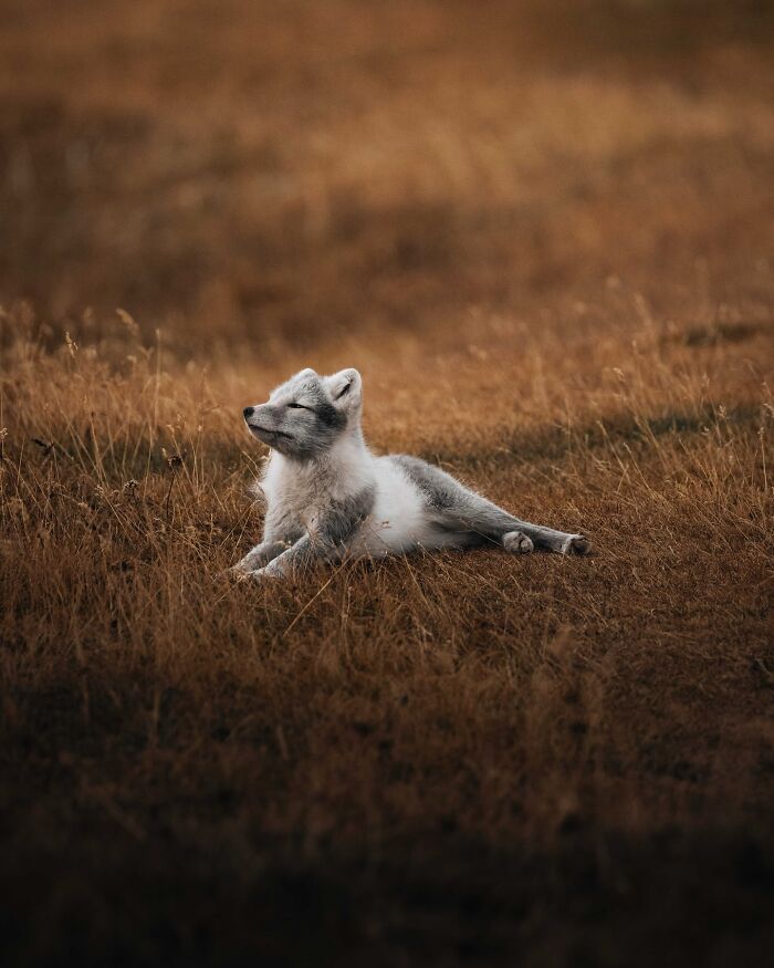This Icelandic Photographer Shows The Country’s Most Otherworldly Sights In 89 Photos