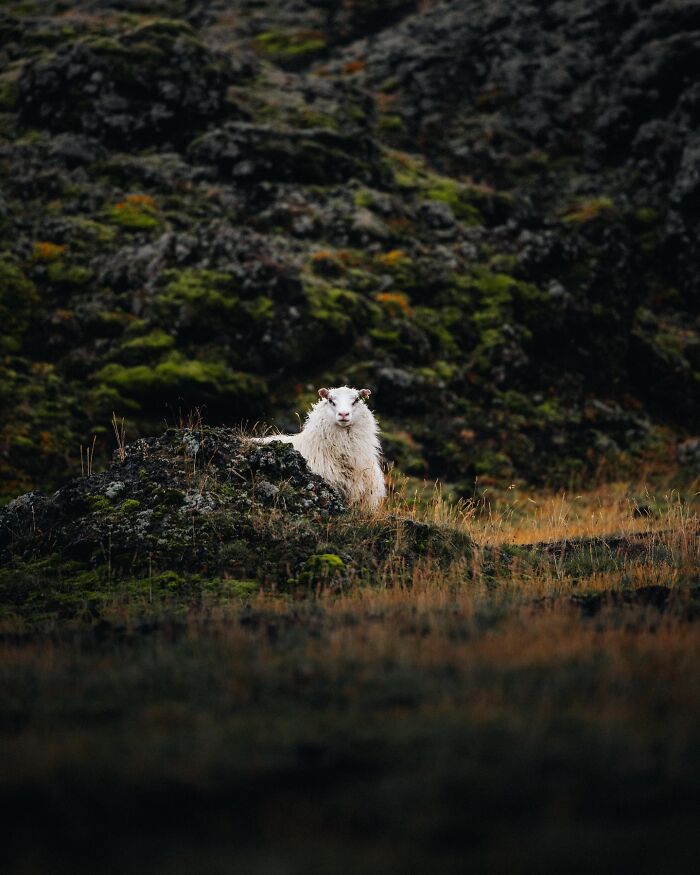 This Icelandic Photographer Shows The Country’s Most Otherworldly Sights In 89 Photos