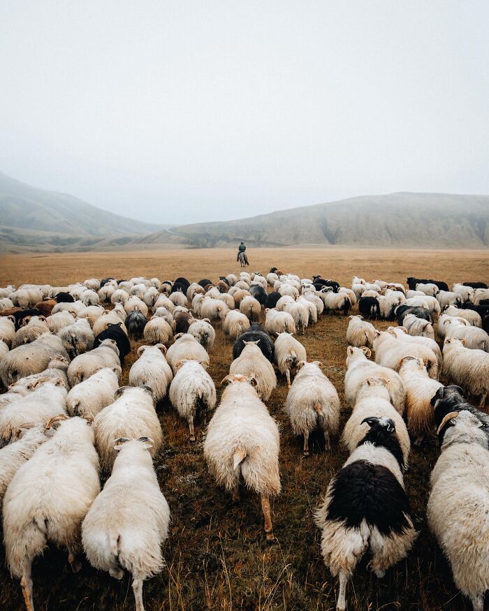 This Icelandic Photographer Shows The Country’s Most Otherworldly Sights In 89 Photos