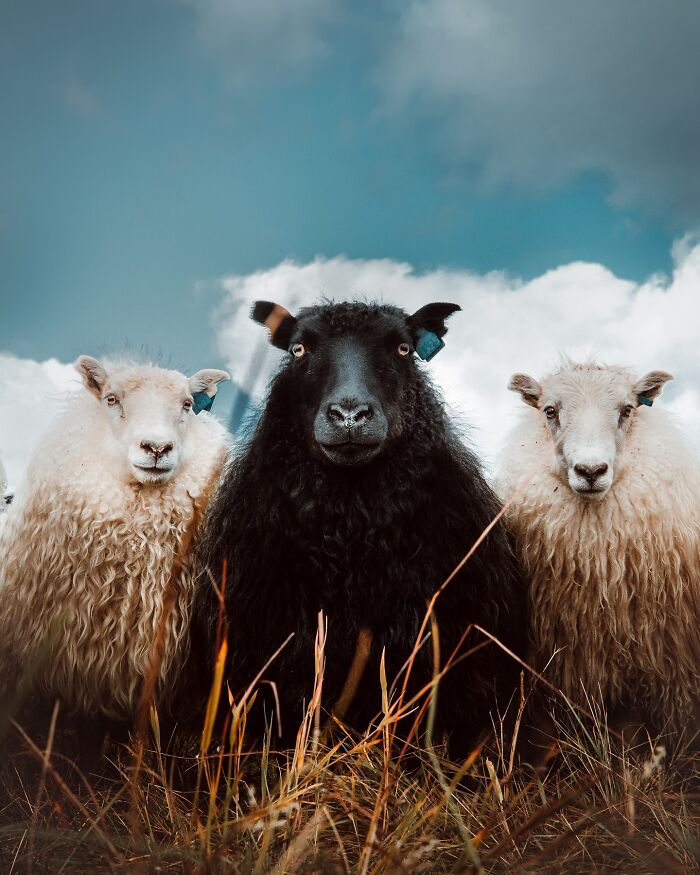 This Icelandic Photographer Shows The Country’s Most Otherworldly Sights In 89 Photos