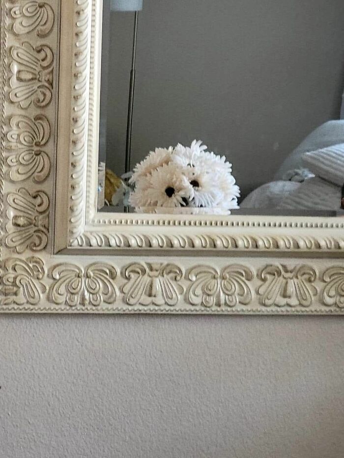 33 Times People Spotted Hidden Faces In Everyday Objects And Had To Share Them (New Pics)