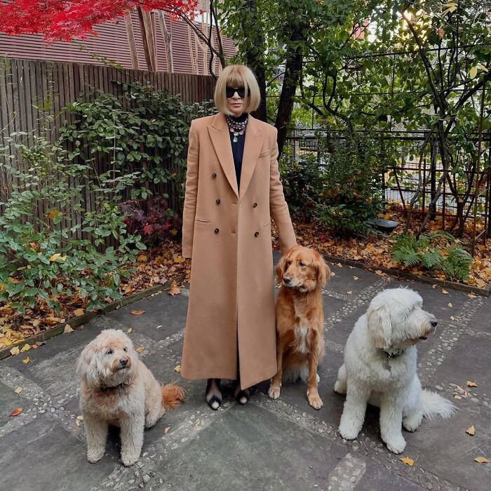 This Instagram Page Is Bringing Forgotten Dogs From History Back To Life In The Most Heartwarming Way(45 Pics)