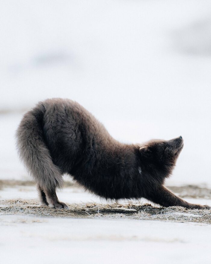 This Icelandic Photographer Shows The Country’s Most Otherworldly Sights In 89 Photos