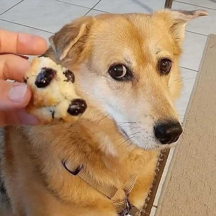 33 Times People Spotted Hidden Faces In Everyday Objects And Had To Share Them (New Pics)