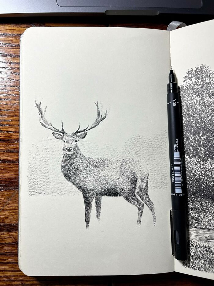 This Artist Turns A Simple Sketchbook Into A Window Of Imagination And Quiet Reflection (40 Pics)