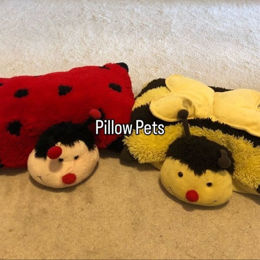 Nostalgic photos of Pillow Pets, a ladybug and a bumblebee, popular toys from growing up in the 2000s.