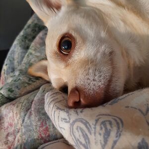 gregorygarcia avatar