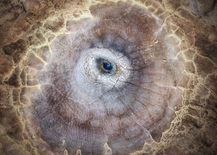 ”the Eye” By Pawel Zygmunt