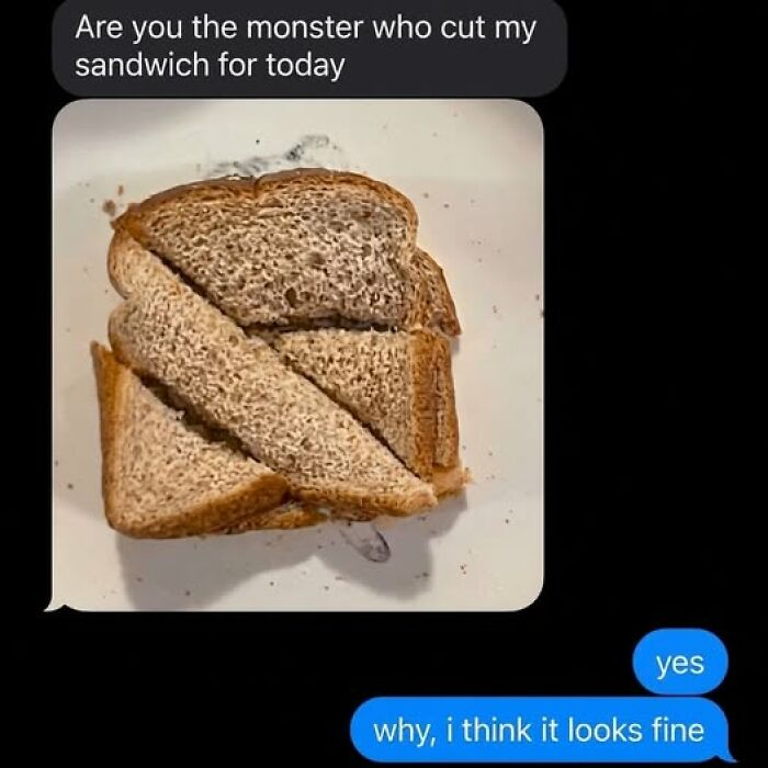Text message showing a sandwich cut in an unusual way, humorously related to food memes and quick chuckles.