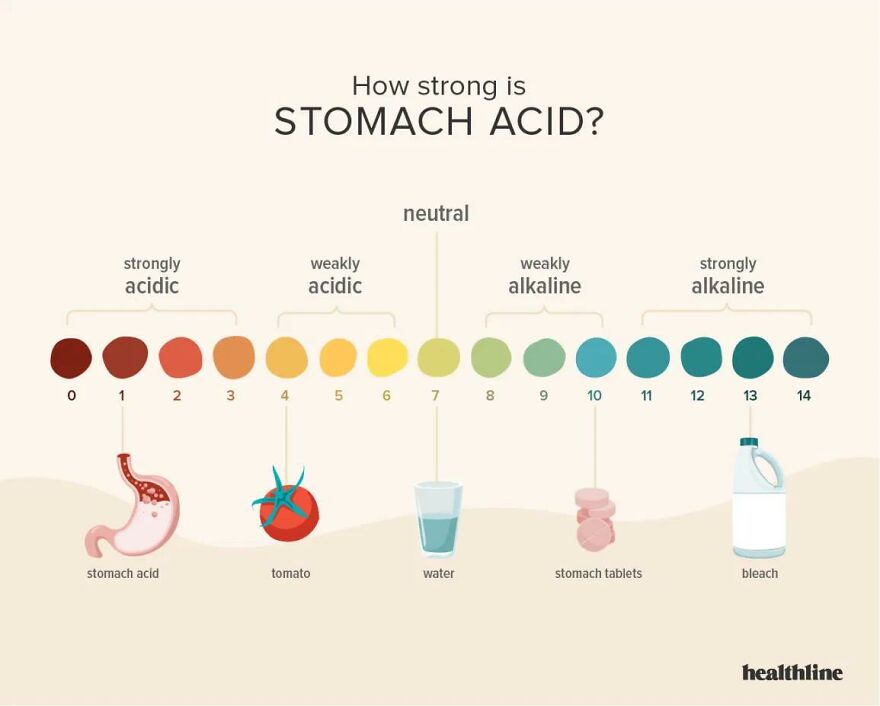 Infographic on pH levels: stomach acid (0-1), tomato (4), water (7), stomach tablets (10), bleach (13). Human body quirks.