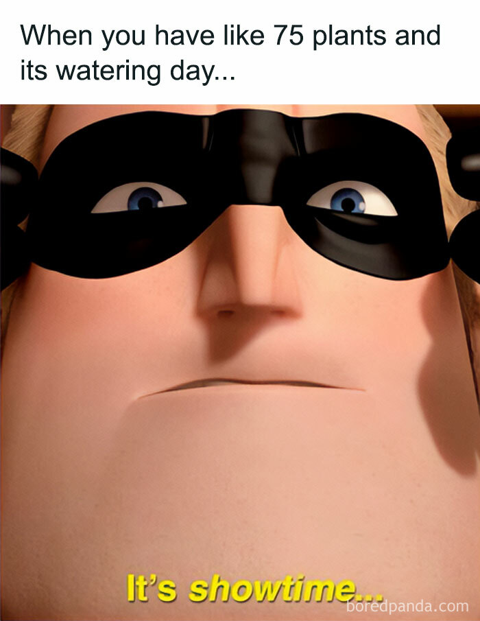 Meme showing Mr. Incredible in a mask, with text about a crazy plant parent watering 75 plants. It's showtime.