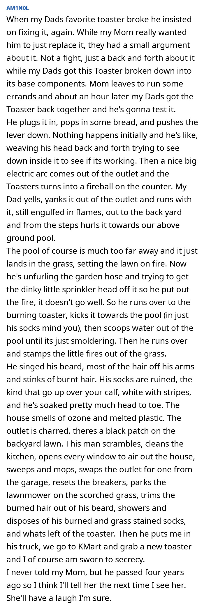 Dad's secret toaster repair turns fiery disaster as he tries to fix it, keeping the chaotic incident hidden from Mom.