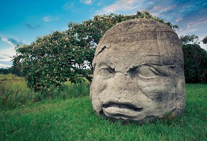 One Of The Famous Olmec Colossal Heads Stands As A Monumental Achievement Of Ancient Mesoamerican Sculpture