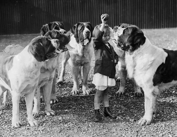 This Instagram Page Is Bringing Forgotten Dogs From History Back To Life In The Most Heartwarming Way(45 Pics)