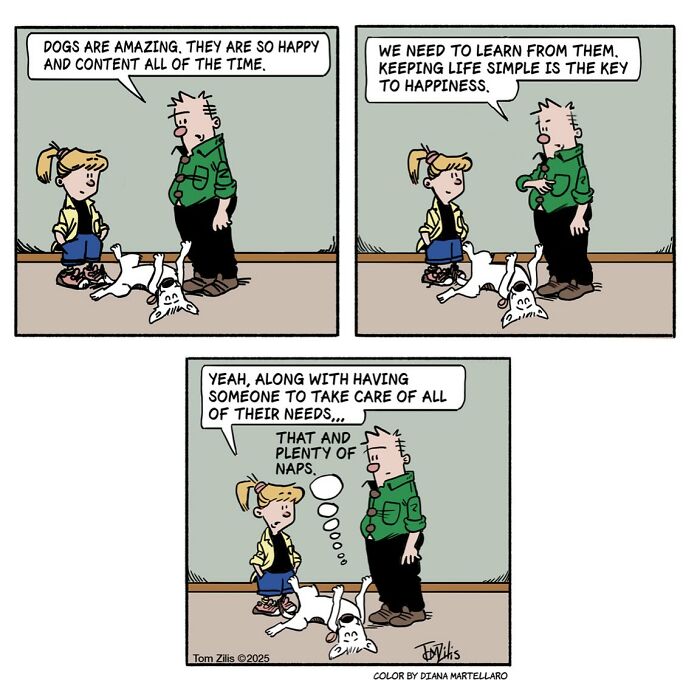 45 Comics By Tom Zilis That Turn Everyday Awkward Moments Into Brilliantly Funny Twists (New Pics)