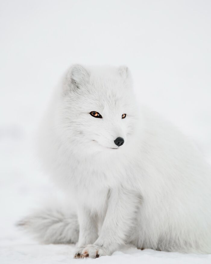 This Icelandic Photographer Shows The Country’s Most Otherworldly Sights In 89 Photos