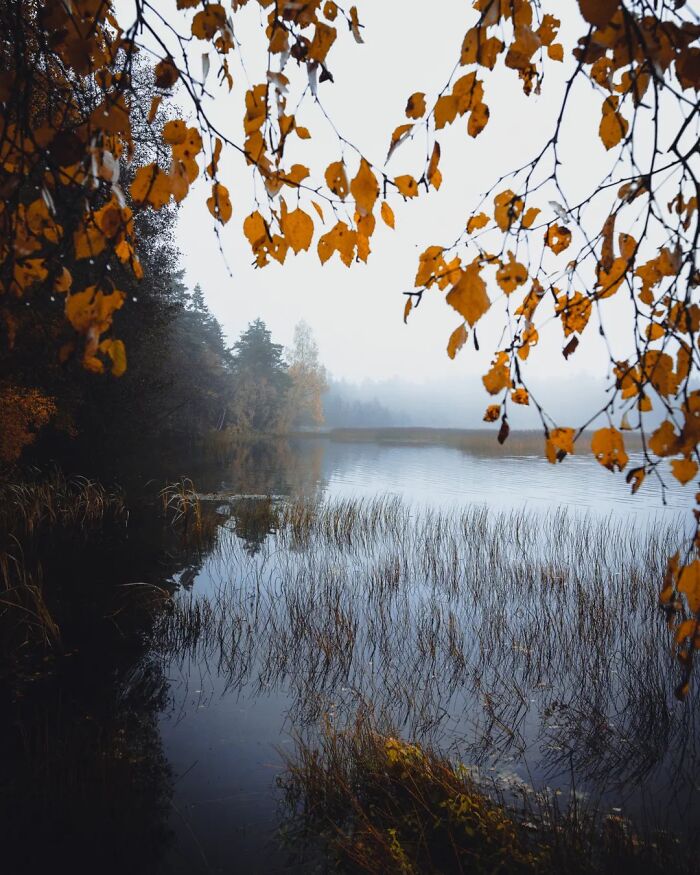 This Photographer Captured 43 Beautiful Views Of Finland Under The Northern Lights