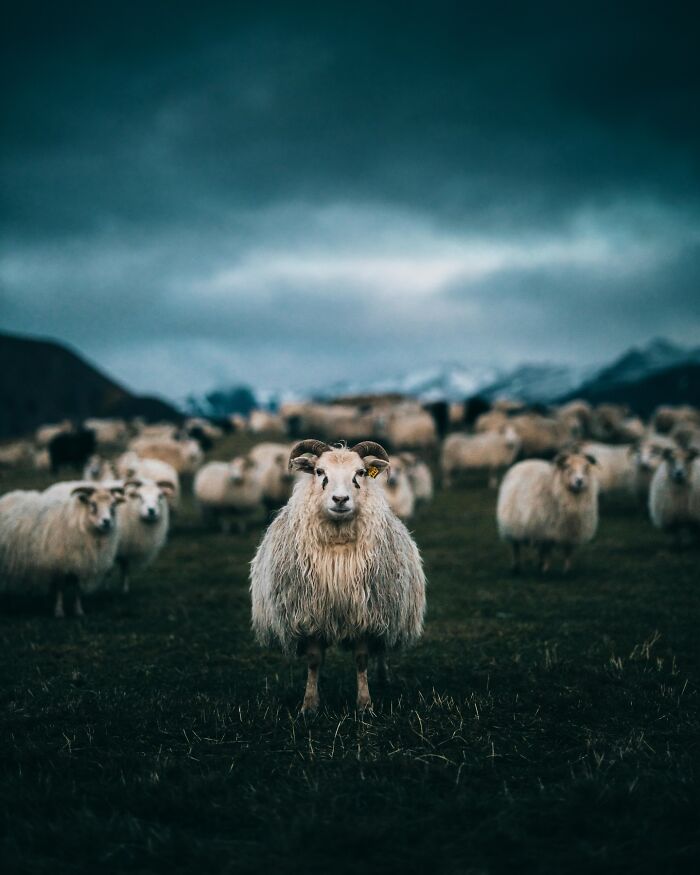 This Icelandic Photographer Shows The Country’s Most Otherworldly Sights In 89 Photos