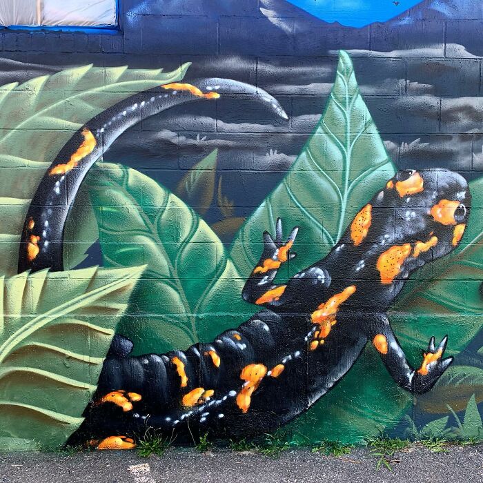 50 Vibrant Murals By ‘The Color Wizard’ That Brighten Walls Across New England