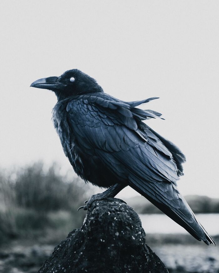 This Icelandic Photographer Shows The Country’s Most Otherworldly Sights In 89 Photos