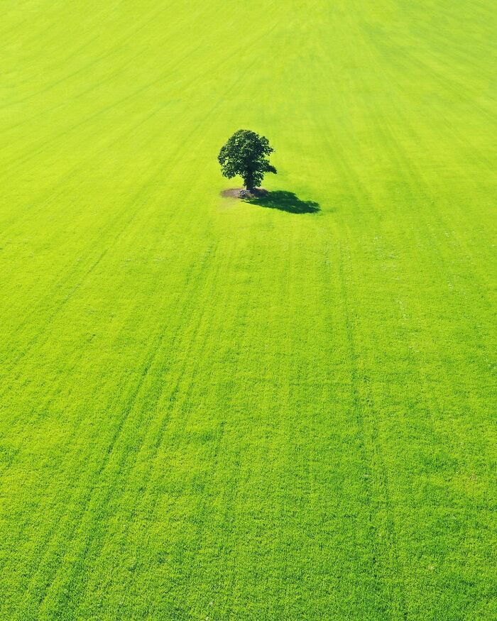 This Photographer Turns Buildings, Windows, And Empty Space Into 55 Mesmerizing Minimalist Scenes