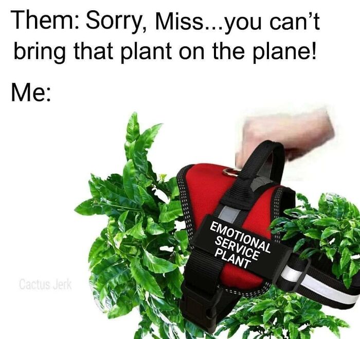 A crazy plant parent meme showing a plant wearing an Emotional Service Plant vest, humorously defying airline rules.