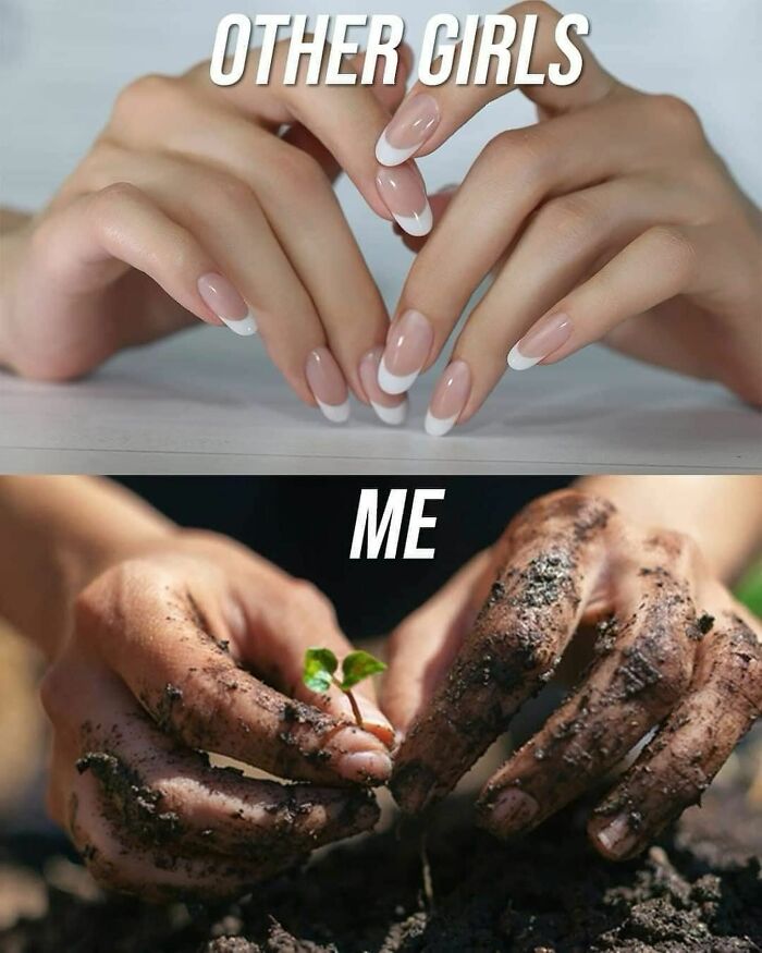 A meme contrasting hands with perfect French manicures versus dirty hands holding a plant sprout, for a crazy plant parent.