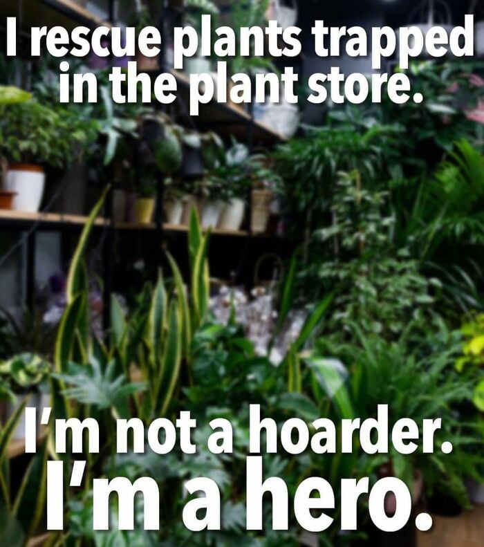 A meme featuring text over lush plants in a store: "I rescue plants trapped in the plant store. I'm not a hoarder. I'm a hero." Perfect for crazy plant parents.