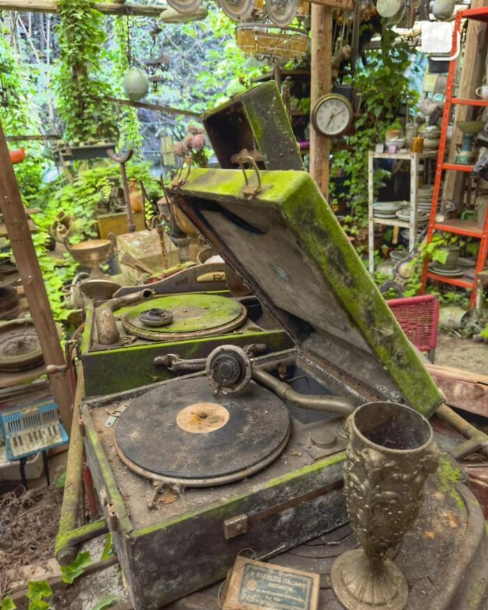 This Page Shared 55 Photos Of Creepy Places Lost To Time