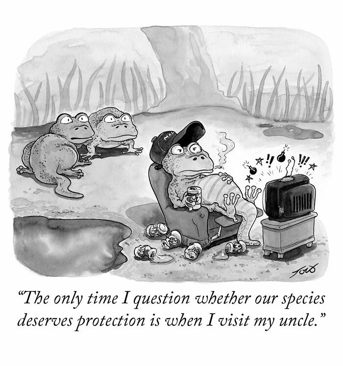 63 Brilliant One-Panel Comics By Tom Toro That Are Funny, Smart, And Slightly Uncomfortable (New Pics)