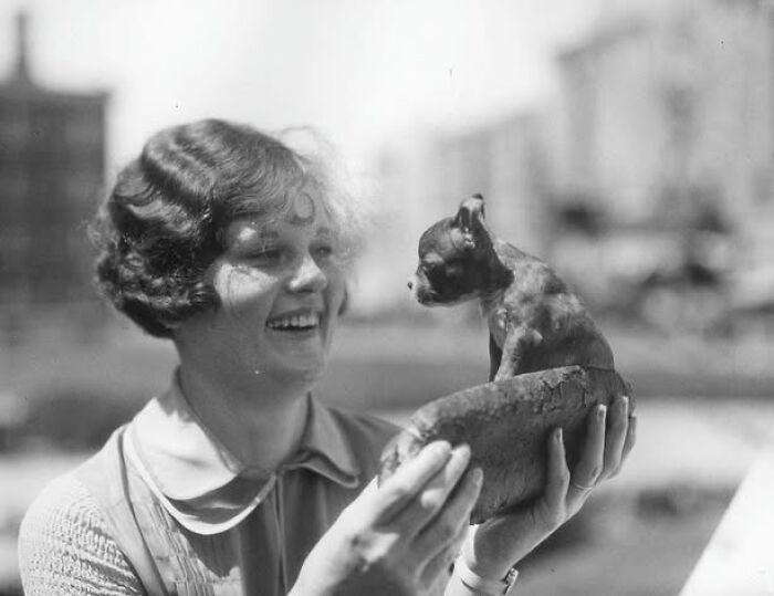 This Instagram Page Is Bringing Forgotten Dogs From History Back To Life In The Most Heartwarming Way(45 Pics)