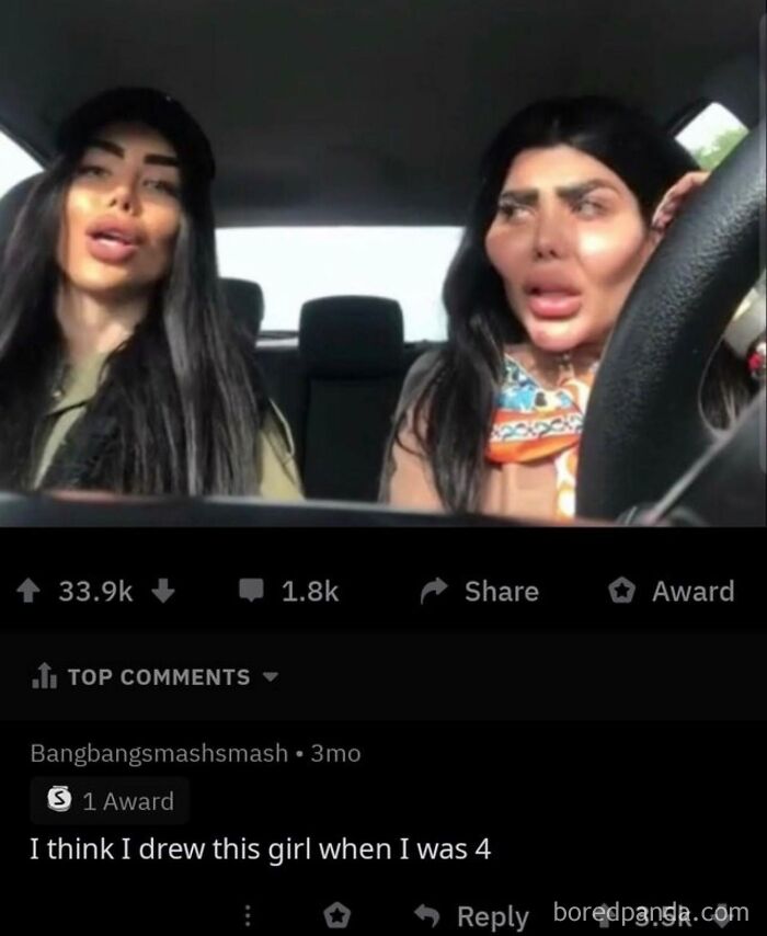 Two women with exaggerated facial features in a car, with a comment below that delivers rare burns.