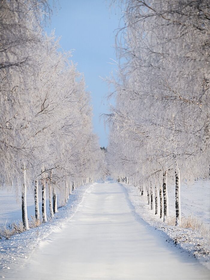 This Photographer Captured 43 Beautiful Views Of Finland Under The Northern Lights