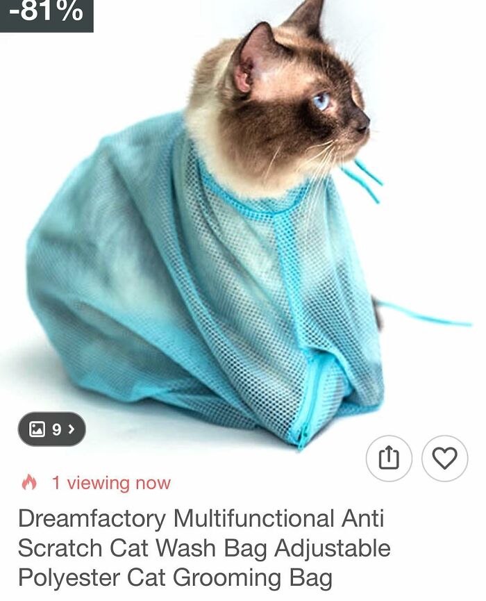 Cat inside a multifunctional anti scratch cat wash bag for grooming and cleaning purchased from Wish