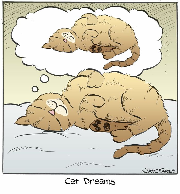 These Funny Cat Comics By Nate Fakes Prove Our Feline Friends Are Secretly Living Their Own Weird Lives (31 Pics)